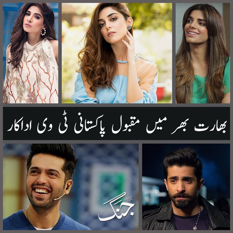 famous pakistani actors popular in india