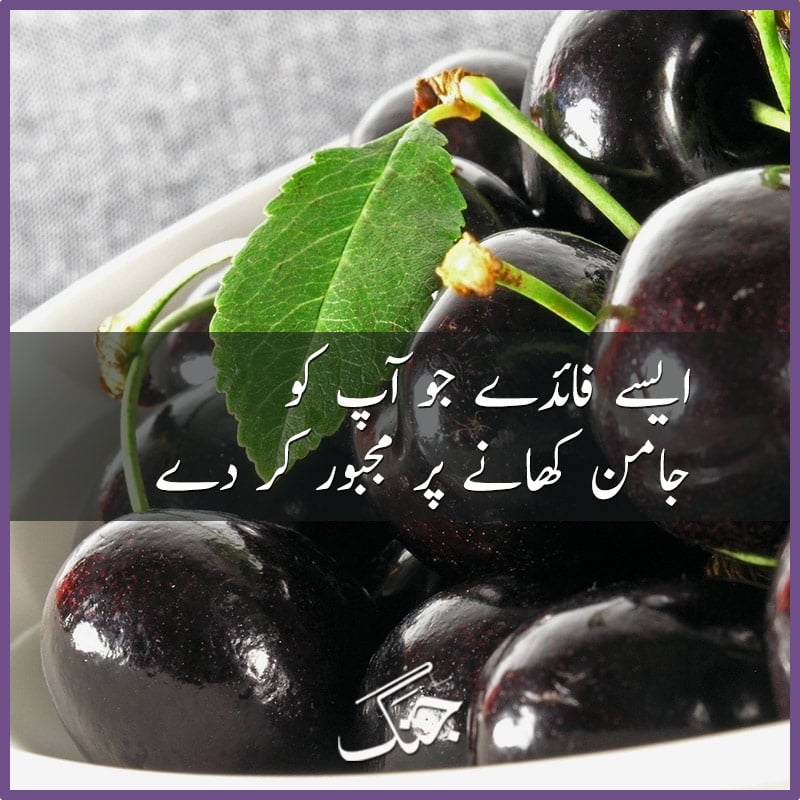 Amazing Health Benefits and Uses of Jamun Fruit (Black Plum)