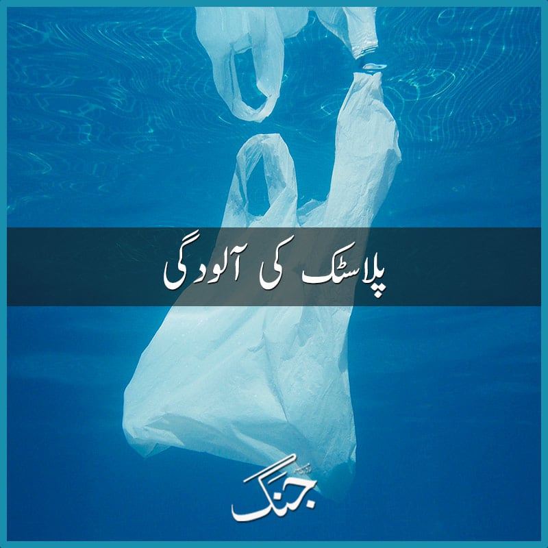 Causes of Plastic Pollution